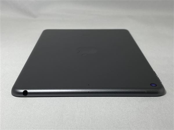 yÁzySۏ؁z iPad mini 7.9C` 5[256GB] Wi-Fif Xy[XOC