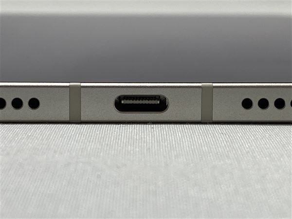 yÁzySۏ؁z iPad mini 8.3C` 6[64GB] Z[ SIMt[ X^[Cg