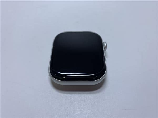 �y���Áz�y���S�ۏ؁z �o���h�� Series10[46mm/GPS]�A���~ �V���o�[ Apple Watch
