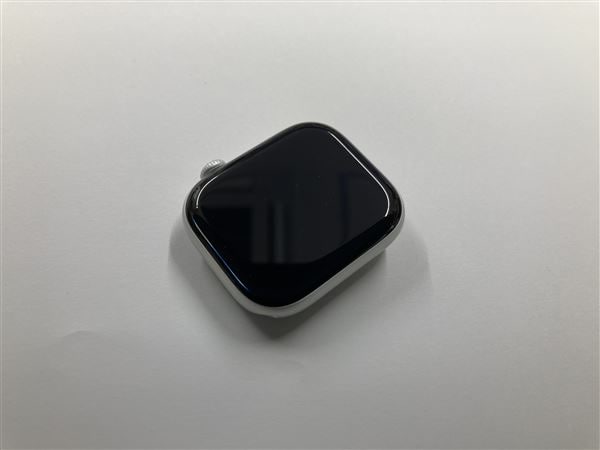 �y���Áz�y���S�ۏ؁z �o���h�� Series10[46mm/GPS]�A���~ �V���o�[ Apple Watch