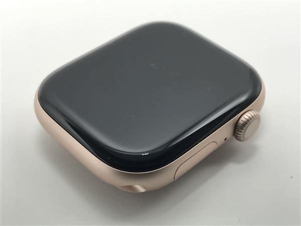 �y���Áz�y���S�ۏ؁z Series10[46mm/GPS]�A���~ ���[�Y�S�[���h Apple Watch