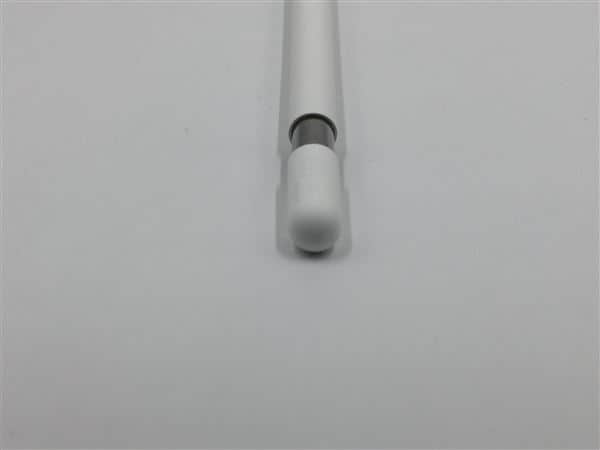 �y���Áz�y���S�ۏ؁z Apple Pencil USB-C A3085