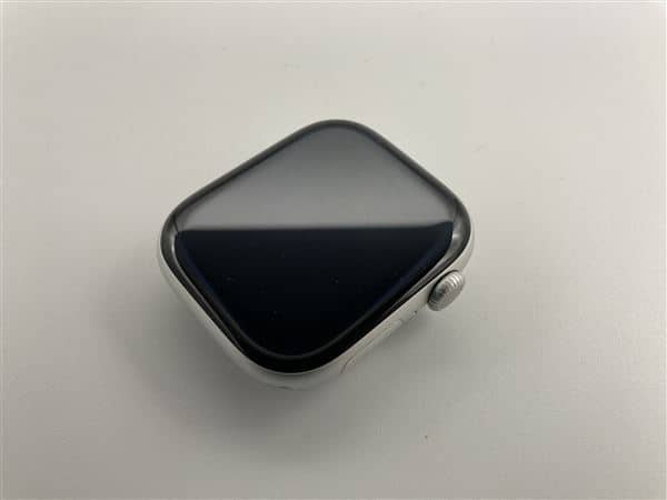 �y���Áz�y���S�ۏ؁z �o���h�� Series10[46mm/GPS]�A���~ �V���o�[ Apple Watch