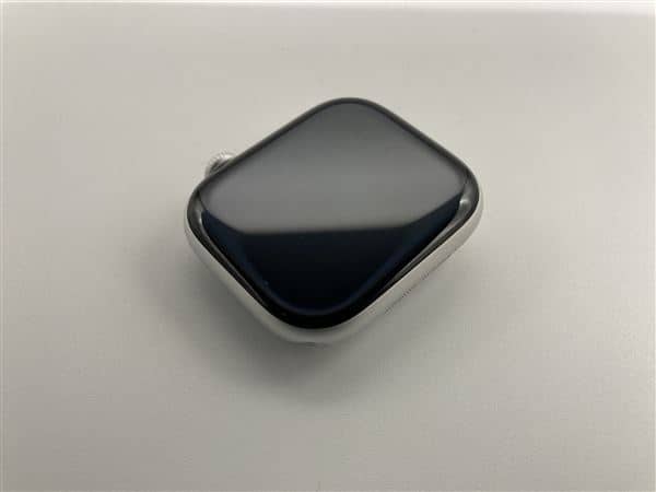�y���Áz�y���S�ۏ؁z �o���h�� Series10[46mm/GPS]�A���~ �V���o�[ Apple Watch