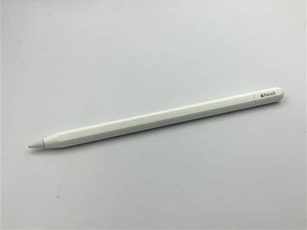 �y���Áz�y���S�ۏ؁z Apple Pencil USB-C A3085