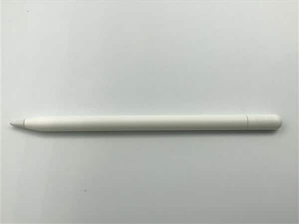 �y���Áz�y���S�ۏ؁z Apple Pencil USB-C A3085