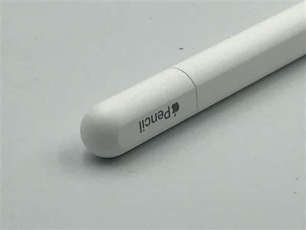 �y���Áz�y���S�ۏ؁z Apple Pencil USB-C A3085