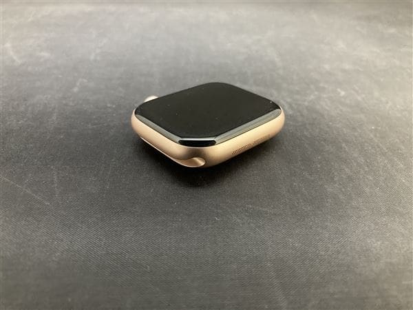 �y���Áz�y���S�ۏ؁z Series10[42mm/GPS]�A���~ ���[�Y�S�[���h Apple Watch