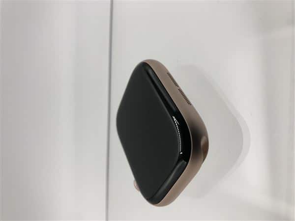 �y���Áz�y���S�ۏ؁z �o���h�� Series10[46mm/�Z�����[]�A���~ ���[�Y�S�[���h Apple Watch