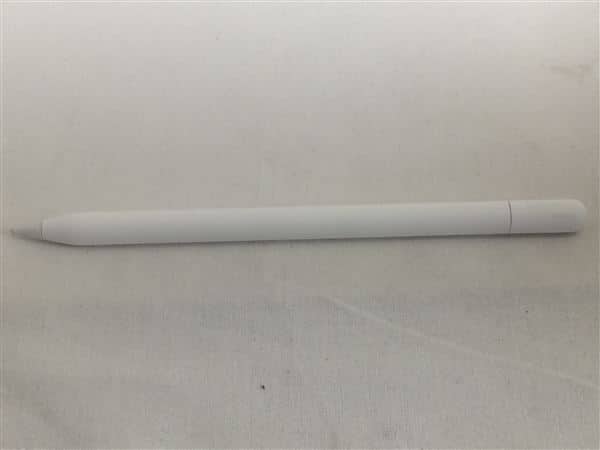 �y���Áz�y���S�ۏ؁z Apple Pencil USB-C A3085