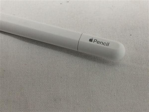 �y���Áz�y���S�ۏ؁z Apple Pencil USB-C A3085
