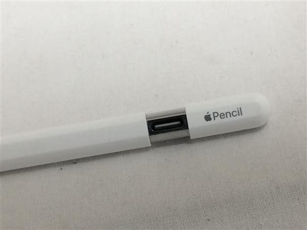 �y���Áz�y���S�ۏ؁z Apple Pencil USB-C A3085