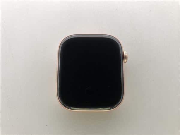 �y���Áz�y���S�ۏ؁z Series10[46mm/GPS]�A���~ ���[�Y�S�[���h Apple Watch