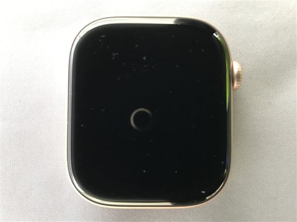 �y���Áz�y���S�ۏ؁z Series10[46mm/GPS]�A���~ ���[�Y�S�[���h Apple Watch