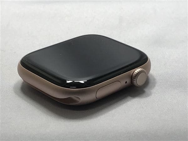 �y���Áz�y���S�ۏ؁z Series10[46mm/GPS]�A���~ ���[�Y�S�[���h Apple Watch