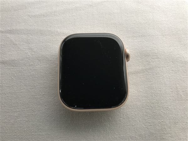 �y���Áz�y���S�ۏ؁z Series10[42mm/GPS]�A���~ ���[�Y�S�[���h Apple Watch