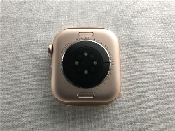 �y���Áz�y���S�ۏ؁z Series10[42mm/GPS]�A���~ ���[�Y�S�[���h Apple Watch
