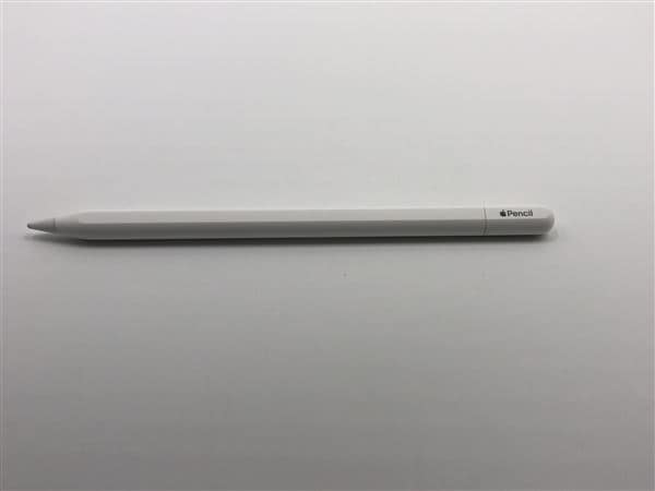 �y���Áz�y���S�ۏ؁z Apple Pencil USB-C A3085