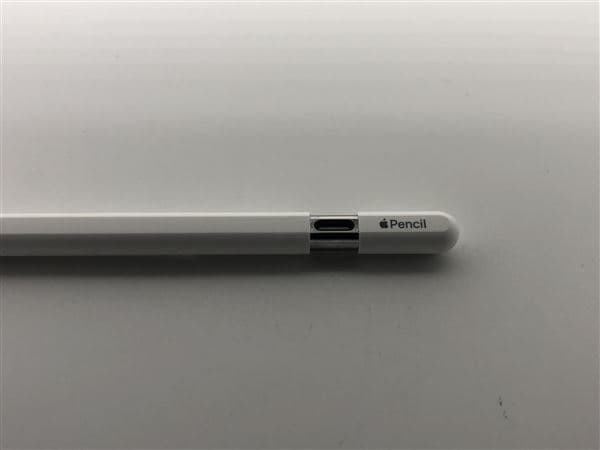 �y���Áz�y���S�ۏ؁z Apple Pencil USB-C A3085