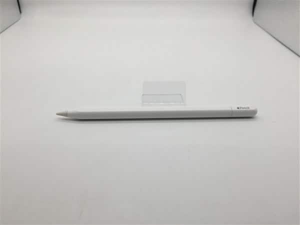 �y���Áz�y���S�ۏ؁z Apple Pencil USB-C A3085