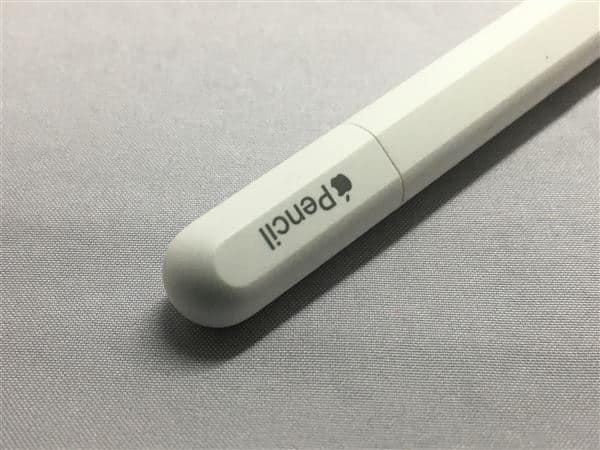 �y���Áz�y���S�ۏ؁z Apple Pencil USB-C A3085