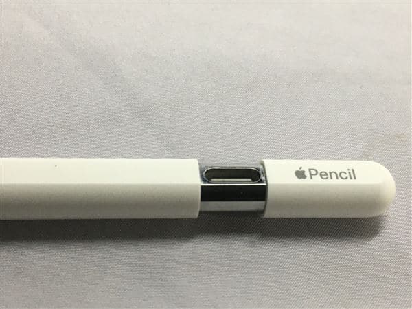 �y���Áz�y���S�ۏ؁z Apple Pencil USB-C A3085