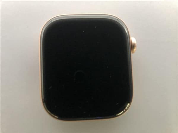 yÁzySۏ؁z oh Series10[46mm/GPS]A~ [YS[h Apple Watch