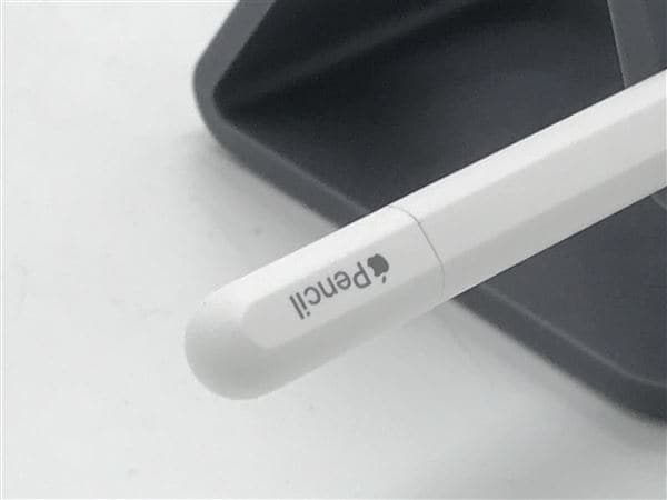 ★新品未使用★apple pencil (USB-C) A3085 Apple [新品未使用・即納] Apple純正 Pencil (USB-C) アップルペンシル