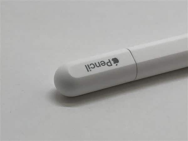 �y���Áz�y���S�ۏ؁z Apple Pencil USB-C A3085