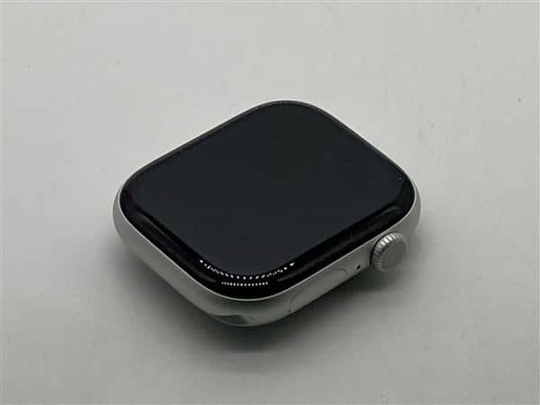 �y���Áz�y���S�ۏ؁z �o���h�� Series10[46mm/�Z�����[]�A���~ �V���o�[ Apple Watch