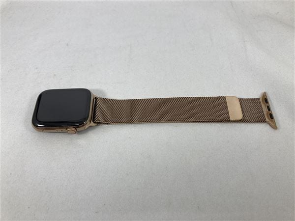 yÁzySۏ؁z Series4[44mm/Z[]XeX eF Apple Watch