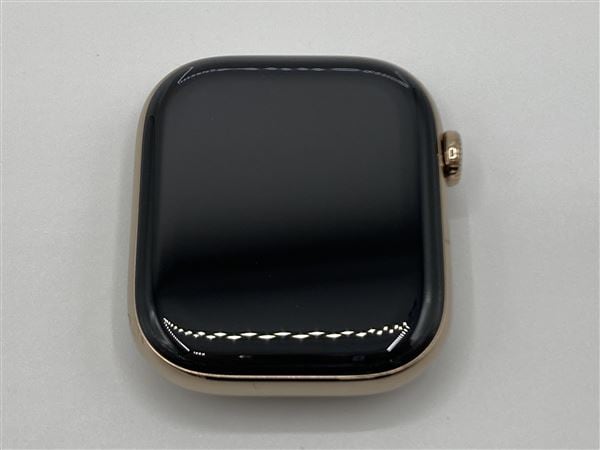 �y���Áz�y���S�ۏ؁z Series10[46mm/�Z�����[]�`�^�� �e�F Apple Watch
