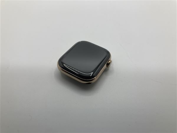 �y���Áz�y���S�ۏ؁z �o���h�� Series10[46mm/�Z�����[]�`�^�� �e�F Apple Watch