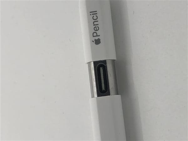 yÁzySۏ؁z Apple Pencil USB-C A3085