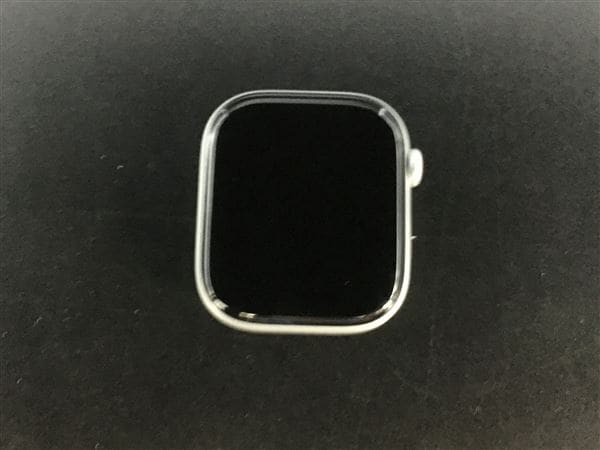 �y���Áz�y���S�ۏ؁z Series10[46mm/GPS]�A���~ �V���o�[ Apple Watch