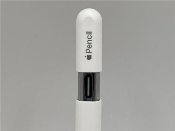 ★新品未使用★apple pencil (USB-C) A3085 Apple [新品未使用・即納] Apple純正 Pencil (USB-C) アップルペンシル