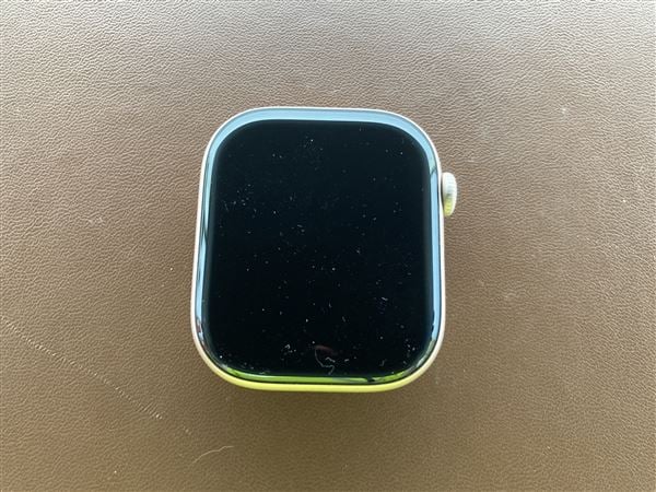 �y���Áz�y���S�ۏ؁z Series10[46mm/�Z�����[]�A���~ ���[�Y�S�[���h Apple Watch