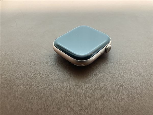 �y���Áz�y���S�ۏ؁z Series10[46mm/�Z�����[]�A���~ ���[�Y�S�[���h Apple Watch