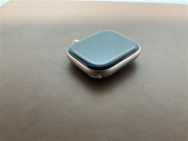 �y���Áz�y���S�ۏ؁z Series10[46mm/�Z�����[]�A���~ ���[�Y�S�[���h Apple Watch