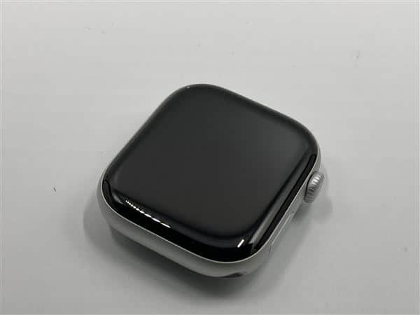 �y���Áz�y���S�ۏ؁z Series11[46mm/GPS]�A���~ �V���o�[ Apple Watch
