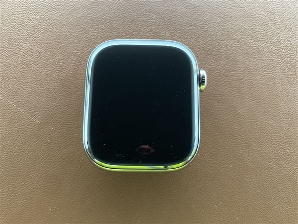 �y���Áz�y���S�ۏ؁z Series10[42mm/�Z�����[]�`�^�� �e�F Apple Watch