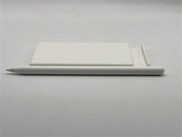 �y���Áz�y���S�ۏ؁z Apple Pencil ��2���� A2051