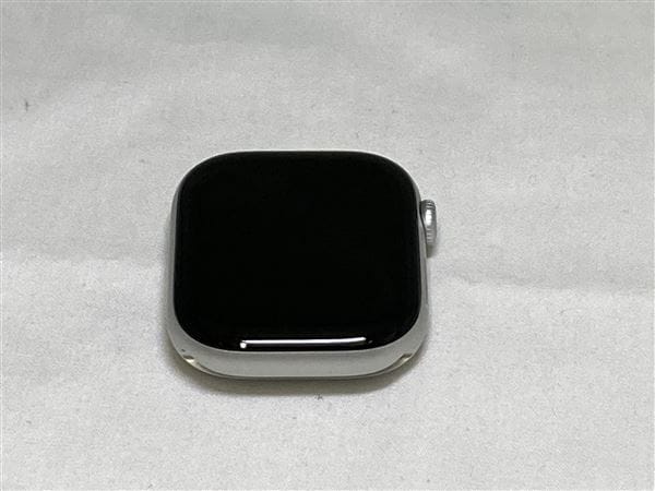 �y���Áz�y���S�ۏ؁z Series10[46mm/GPS]�A���~ �V���o�[ Apple Watch
