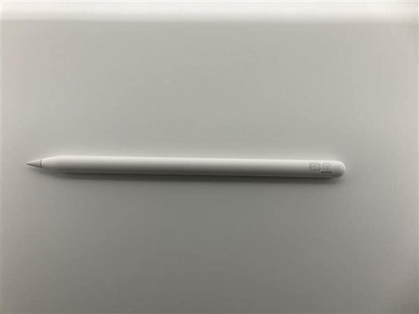 �y���Áz�y���S�ۏ؁z Apple Pencil ��2���� A2051
