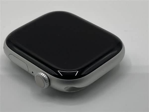 �y���Áz�y���S�ۏ؁z Series10[46mm/GPS]�A���~ �V���o�[ Apple Watch