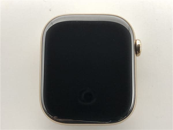 �y���Áz�y���S�ۏ؁z Series10[46mm/�Z�����[]�`�^�� �e�F Apple Watch