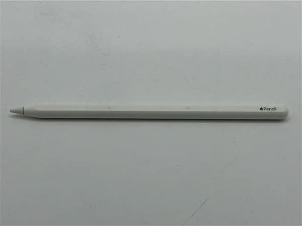 �y���Áz�y���S�ۏ؁z Apple Pencil ��2���� A2051