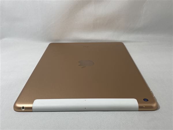 yÁzySۏ؁z iPad 10.2C` 7[128GB] Z[ docomo S[h