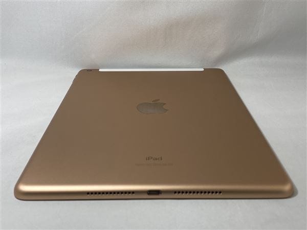 yÁzySۏ؁z iPad 10.2C` 7[128GB] Z[ docomo S[h