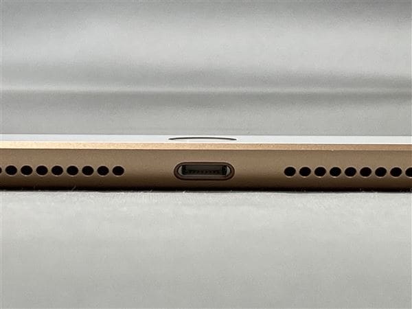 yÁzySۏ؁z iPad 10.2C` 7[128GB] Z[ docomo S[h